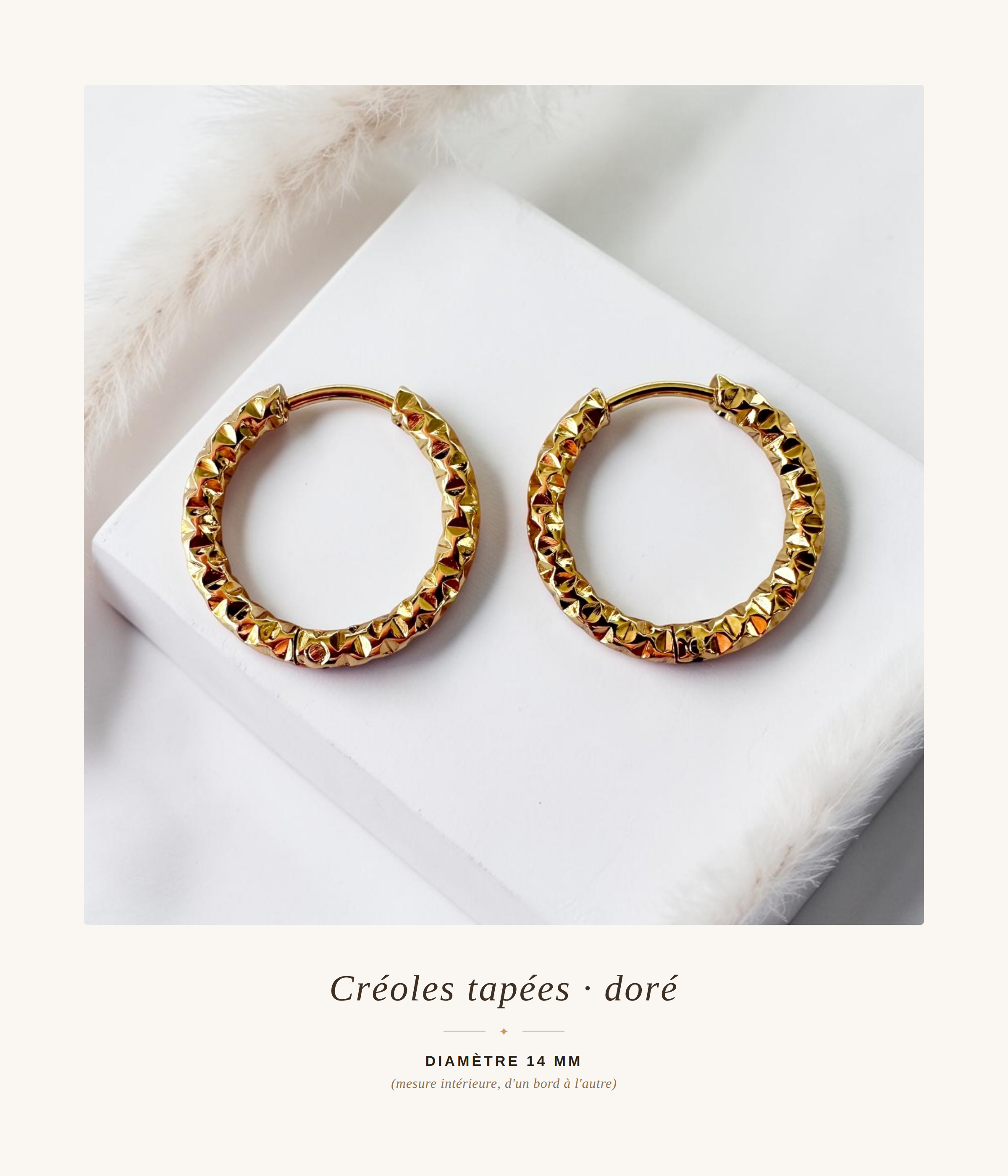 Créoles 14mm – Acier Inoxydable